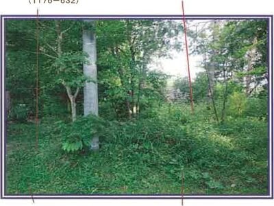 山梨県北杜市 甲斐小泉駅21分 土地 132万円の競売物件 #10