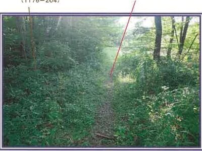 山梨県北杜市 甲斐小泉駅21分 土地 132万円の競売物件 #14