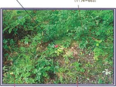 山梨県北杜市 甲斐小泉駅21分 土地 132万円の競売物件 #15