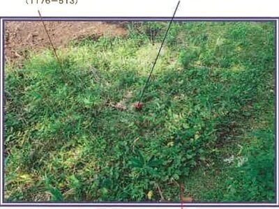 山梨県北杜市 甲斐小泉駅21分 土地 132万円の競売物件 #16