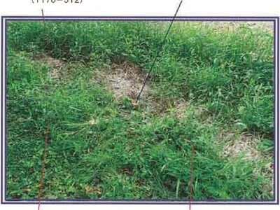 山梨県北杜市 甲斐小泉駅21分 土地 132万円の競売物件 #17