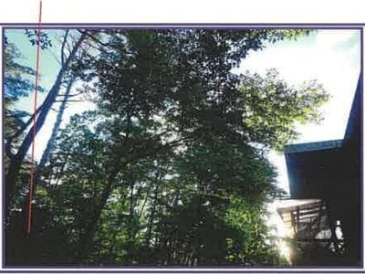 山梨県北杜市 甲斐小泉駅21分 土地 132万円の競売物件 #24