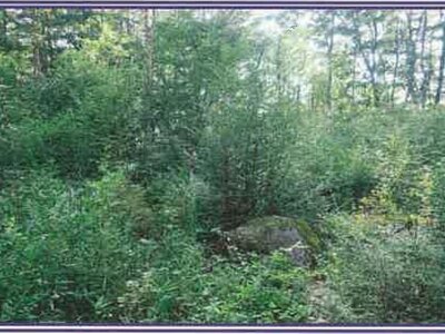 山梨県北杜市 甲斐小泉駅21分 土地 132万円の競売物件 #3