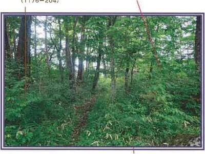 山梨県北杜市 甲斐小泉駅21分 土地 132万円の競売物件 #6