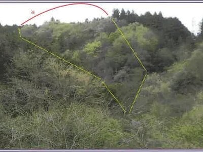 (値下げ) 山梨県南巨摩郡身延町 身延駅17分 土地 33万円の競売物件 #2