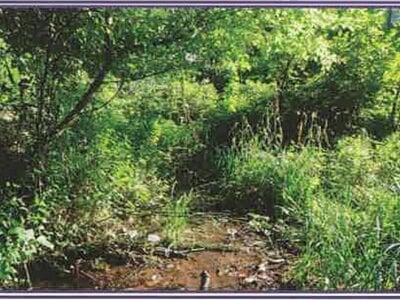 山梨県北杜市 甲斐小泉駅17分 戸建て 882万円の競売物件 #28