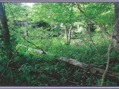 山梨県北杜市 甲斐小泉駅17分 戸建て 882万円の競売物件 #29