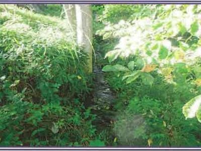 山梨県北杜市 甲斐小泉駅17分 戸建て 882万円の競売物件 #30