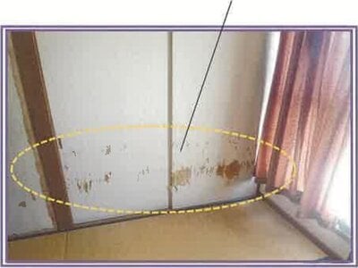 山梨県甲斐市 竜王駅15分 戸建て 566万円の競売物件 #47