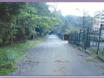 山梨県南都留郡山中湖村 マンション「フラワーパレス山中湖」203万円の競売物件 #14