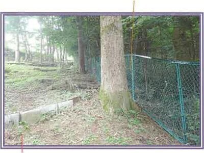 山梨県南都留郡山中湖村 マンション「フラワーパレス山中湖」203万円の競売物件 #17