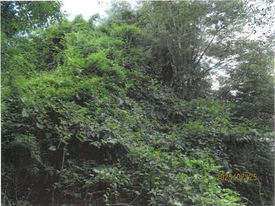 長野県飯田市 駄科駅12分 戸建て 230万円の競売物件 #9