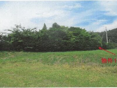 長野県南佐久郡佐久穂町 八千穂駅3分 戸建て 98万円の競売物件 #11