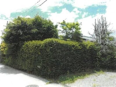 長野県南佐久郡佐久穂町 八千穂駅3分 戸建て 98万円の競売物件 #2