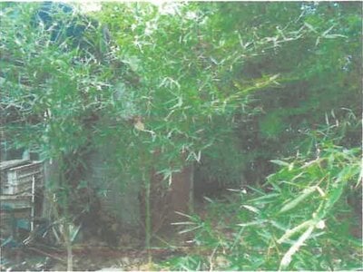 長野県小諸市 三岡駅15分 戸建て 229万円の競売物件 #6