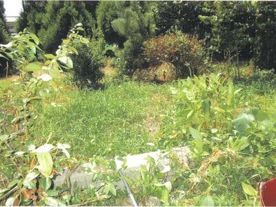 京都府京都市北区 北大路駅29分 戸建て 2,344万円の競売物件 #14