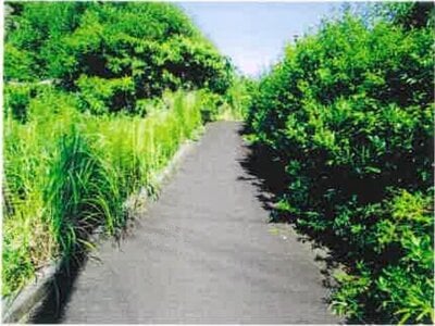 千葉県鴨川市 安房天津駅14分 戸建て 1,006万円の競売物件 #5