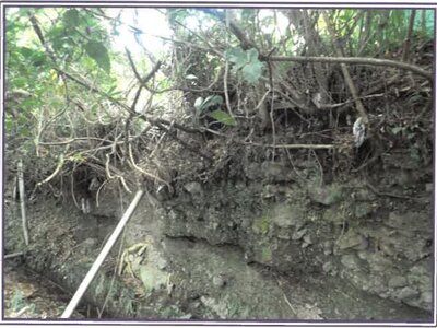 静岡県富士宮市 源道寺駅12分 戸建て 956万円の競売物件 #11