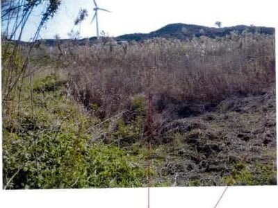 愛知県田原市 農地 29万円の競売物件 #2