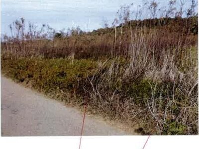 愛知県田原市 農地 29万円の競売物件 #4