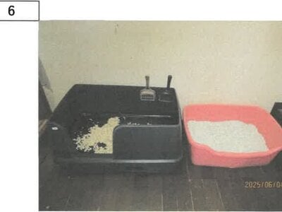 徳島県板野郡板野町 板野駅10分 戸建て 293万円の競売物件 #4