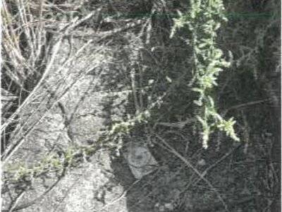 香川県善通寺市 善通寺駅12分 土地 228万円の競売物件 #9