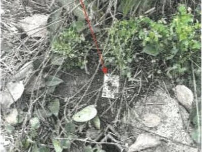 香川県善通寺市 善通寺駅13分 土地 159万円の競売物件 #2