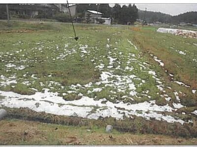 (値下げ) 秋田県由利本荘市 折渡駅 農地 6,000円の競売物件 #3