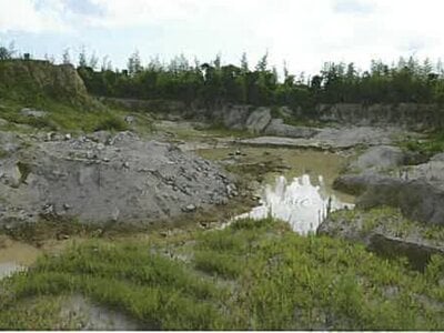 三重県松阪市 東松阪駅 土地 4,002万円の競売物件 #3