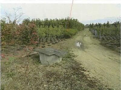 三重県鈴鹿市 加佐登駅 農地 52万円の競売物件 #2