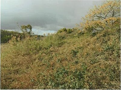 三重県鈴鹿市 加佐登駅19分 農地 71万円の競売物件 #3