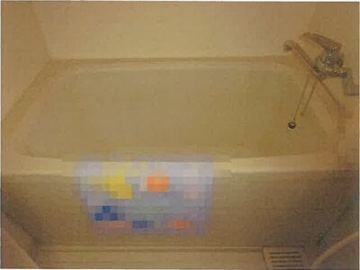 東京都墨田区 東向島駅3分 マンション「ステーションプラザ・メッツ東向島駅前」2,724万円の競売物件 #3