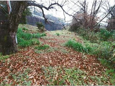 和歌山県橋本市 橋本駅2分 農地 17万円の競売物件 #4