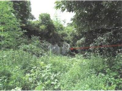 千葉県大網白里市 永田駅 土地 343万円の競売物件 #6