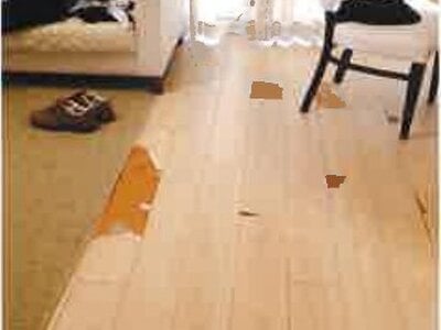 千葉県千葉市美浜区 稲毛海岸駅7分 マンション「プレミスト稲毛海岸」2,744万円の競売物件 #7