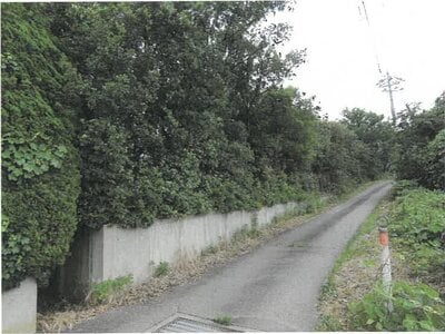 (値下げ) 新潟県新潟市西蒲区 越後赤塚駅 土地 103万円の競売物件 #2