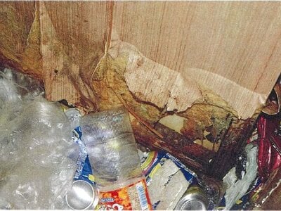 愛知県稲沢市 稲沢駅5分 マンション「ミッドレジデンス稲沢」680万円の競売物件 #7