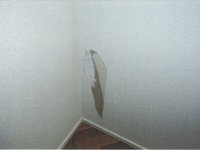 兵庫県加古川市 宝殿駅23分 戸建て 1,000万円の競売物件 #7