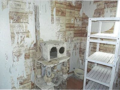 兵庫県加東市 滝野駅 戸建て 667万円の競売物件 #19