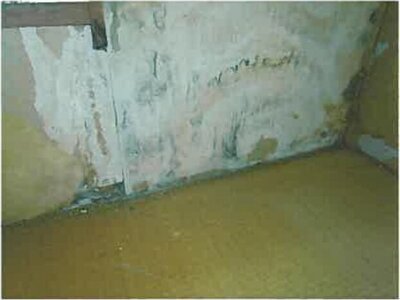 鳥取県鳥取市 鳥取駅 戸建て 733万円の競売物件 #8