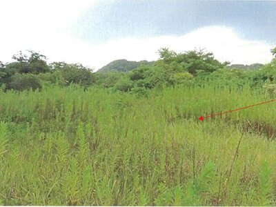 (値下げ) 福岡県遠賀郡水巻町 水巻駅 土地 289万円の競売物件 #5