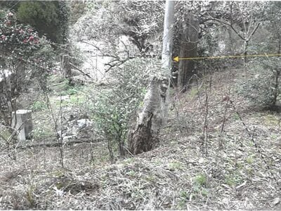 (値下げ) 鹿児島県霧島市 表木山駅 土地 42万円の競売物件 #4