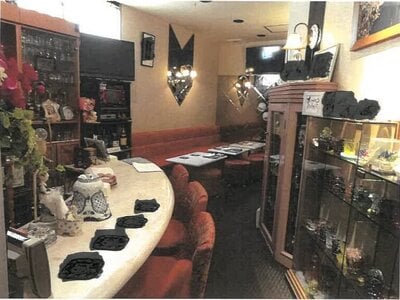 鹿児島県鹿児島市 高見馬場駅3分 戸建て 1億5,470万円の競売物件 #61