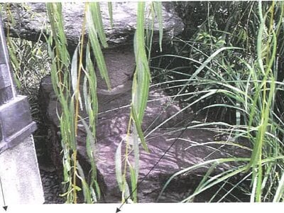 鹿児島県鹿児島市 高見橋駅 戸建て 577万円の競売物件 #7