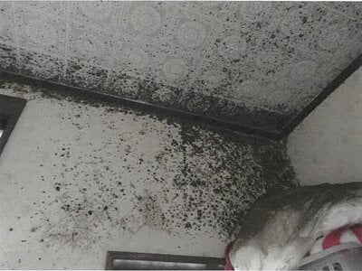 (値下げ) 鹿児島県鹿児島市 鹿児島中央駅9分 戸建て 1,594万円の競売物件 #35