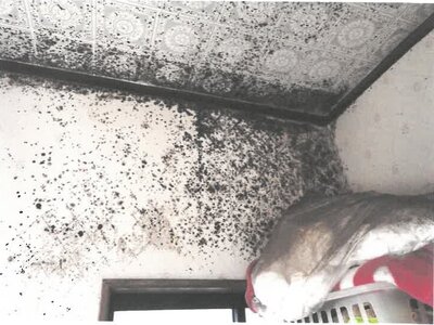 (値下げ) 鹿児島県鹿児島市 鹿児島中央駅9分 戸建て 1,594万円の競売物件 #48