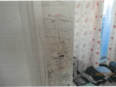 大阪府大阪市鶴見区 鴻池新田駅13分 戸建て 1,338万円の競売物件 #10