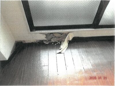 大阪府大阪市中央区 日本橋駅2分 戸建て「ビジタル黒門」1億8,432万円の競売物件 #27