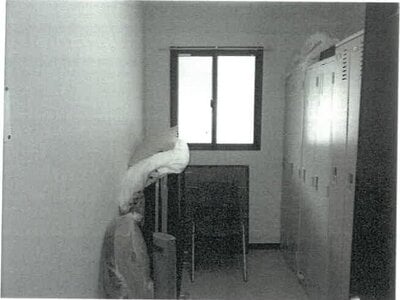 大阪府茨木市 豊川駅10分 戸建て 1億7,358万円の競売物件 #31