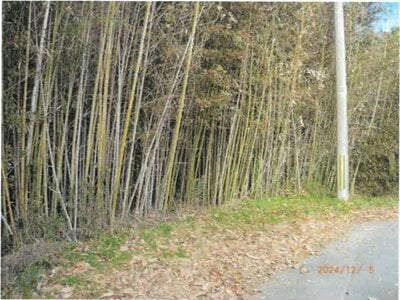 (値下げ) 大阪府茨木市 彩都西駅 農地 214万円の競売物件 #5